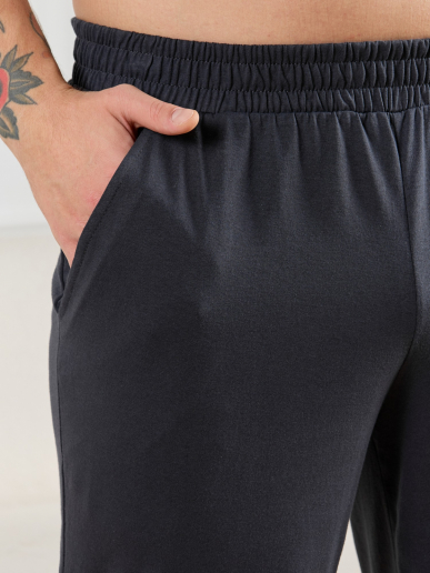 Брюки мужские Тор-3 / графитовый