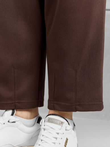 Женские брюки Авенсис-3 / коричневый