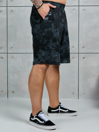 Шорты мужские Питон ШП-031 / разноцветный