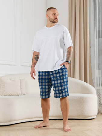 Шорты мужские Тор-2 / клетка синяя