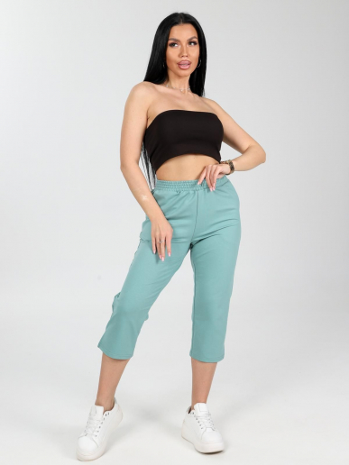 Женские бриджи Портленд / фисташковый