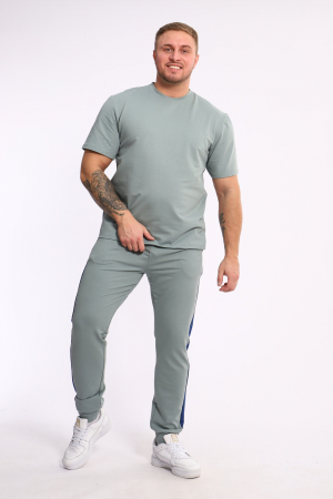 Мужской костюм 35282 / полынь