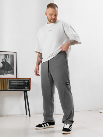 Мужские брюки Акс / серый