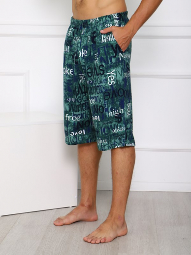 Мужские шорты Ш-3 / БЗ