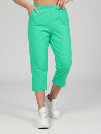 Женские бриджи Финикс / зеленый