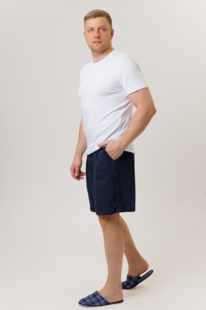 Мужские шорты 1942/5 / Синий