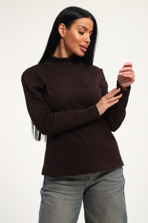 Женская водолазка 74721 / шоколадный