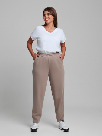 Женские брюки Авенсис-3 / бежевый