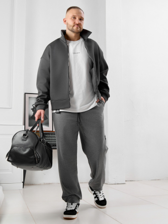 Мужские брюки Акс / серый