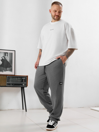 Мужские брюки Акс / серый