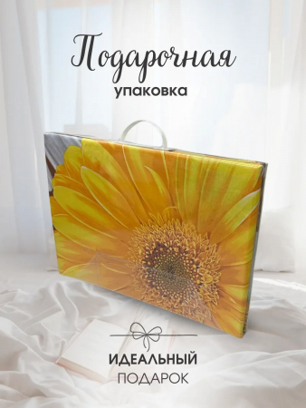 Постельное белье поплин Иваново / Флоранс