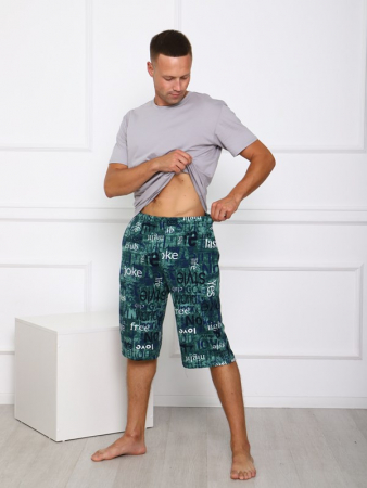 Мужские шорты Ш-3 / БЗ