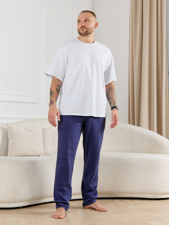 Брюки мужские Тор-3 / синий