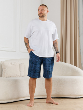 Шорты мужские Тор-2 / лён