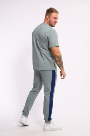 Мужской костюм 35282 / полынь