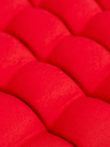 Подушка в автомобиль с гречневой лузгой арт. APG25 / Красный