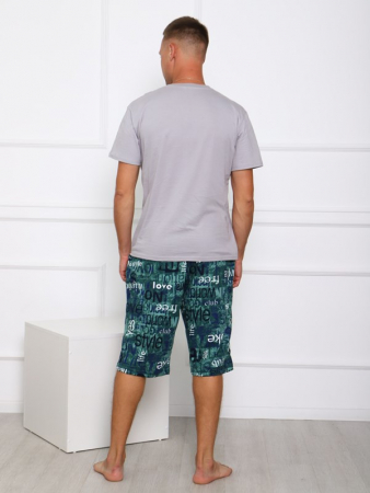 Мужские шорты Ш-3 / БЗ