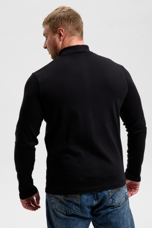 Водолазка мужская 14439/4 / черный