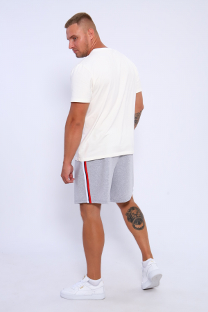 Мужские шорты 35336 / серый