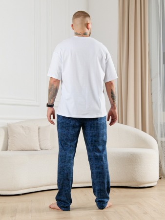 Брюки мужские Тор-1 / лён