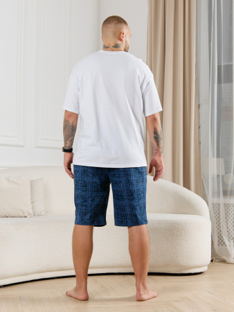 Шорты мужские Тор-2 / лён