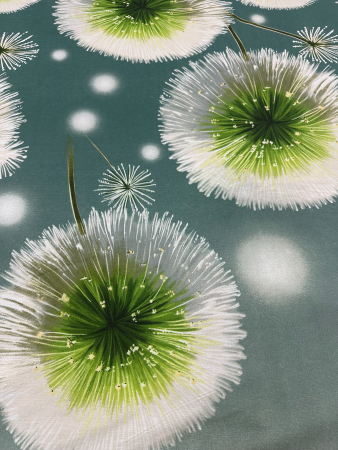 Постельное белье поплин Иваново / Воздушный танец