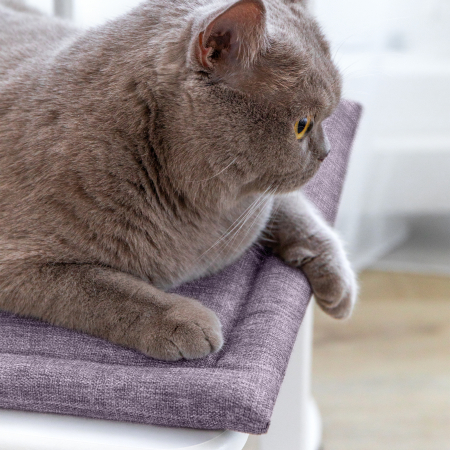 Подушка для стула "Волшебная Ночь" 40/40 Глициния