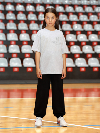 Футболка для девочки Успех-7.1 / кармеланж