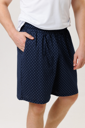 Мужские шорты 1942/5 / Синий