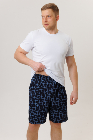 Мужские шорты 1942/4 / Синий