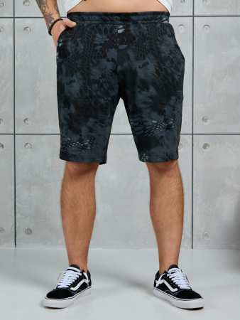 Шорты мужские Питон ШП-031 / разноцветный