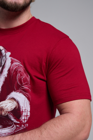 Мужская футболка 8581 / бордо+диско дедМ