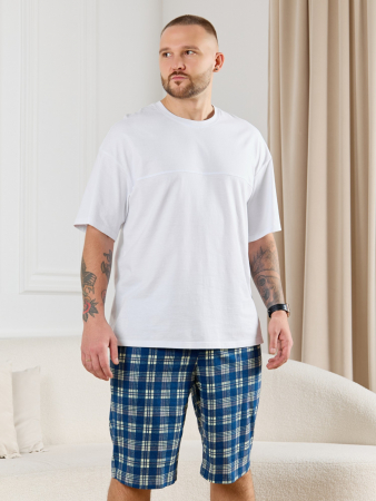 Шорты мужские Тор-2 / клетка синяя