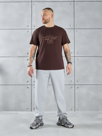 Фуфайка (футболка) мужская Арчи-2 ФП-055 / шоколадный