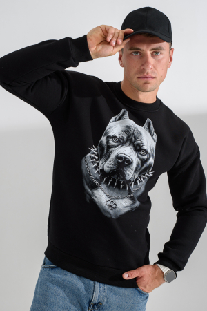 Мужской свитшот 8559 / черный+питбуль