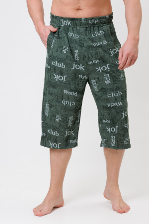 Мужские бриджи 2196/1 / Хаки