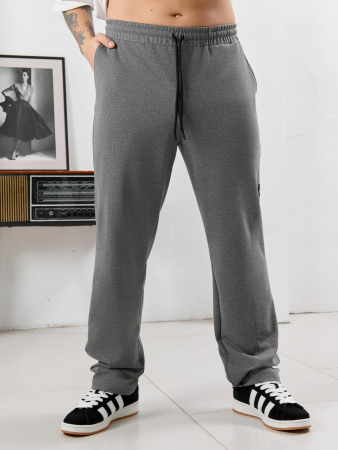 Мужские брюки Акс / серый