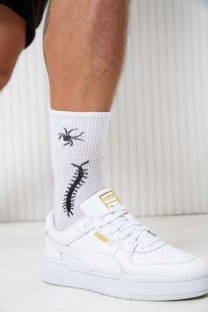 Носки стандарт мужские Сороконожка (набор 2 пары) / белый