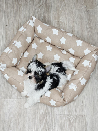 Лежак для кошек и собак / пряники