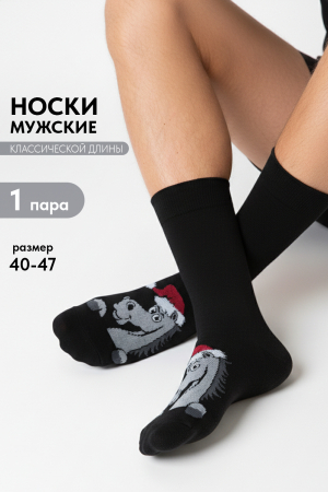 Мужские носки стандарт Лукас / черный