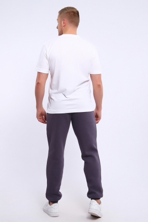 Мужские брюки джоггеры 169 / Серый