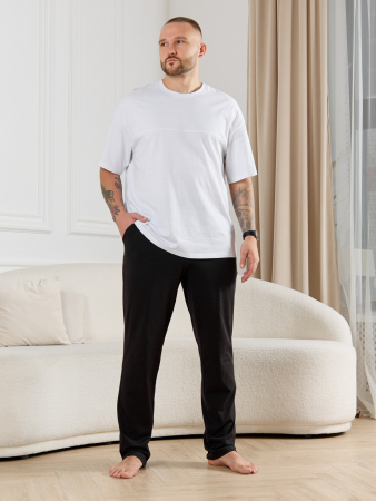 Брюки мужские Тор-3 / чёрный