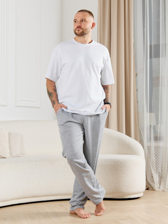 Брюки мужские Тор-4.2 / серый меланж