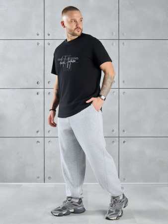 Фуфайка (футболка) мужская Арчи-2 ФП-055 / чёрный 