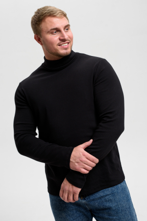 Водолазка мужская 14439/4 / черный