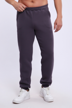 Мужские брюки джоггеры 169 / Серый