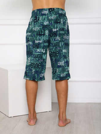 Мужские шорты Ш-3 / БЗ