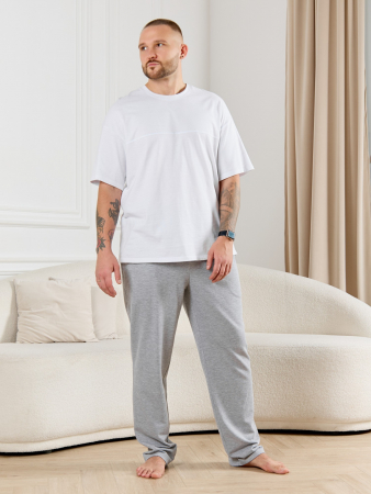 Брюки мужские Тор-4.2 / серый меланж