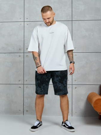 Шорты мужские Питон ШП-031 / разноцветный