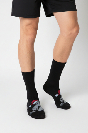 Мужские носки стандарт Лукас / черный